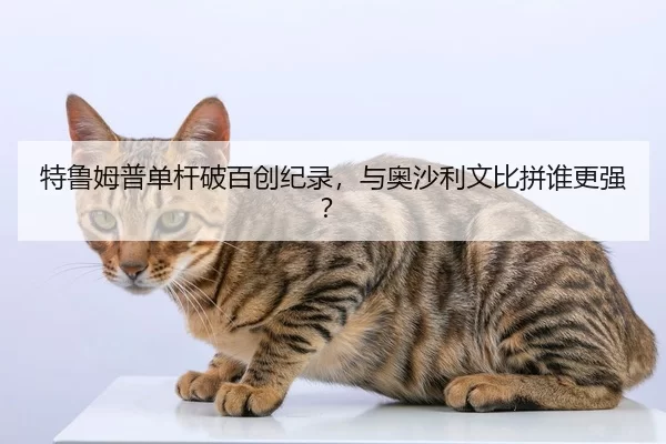 特鲁姆普单杆破百创纪录，与奥沙利文比拼谁更强？