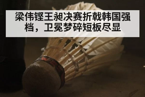 梁伟铿王昶决赛折戟韩国强档,卫冕梦碎短板尽显